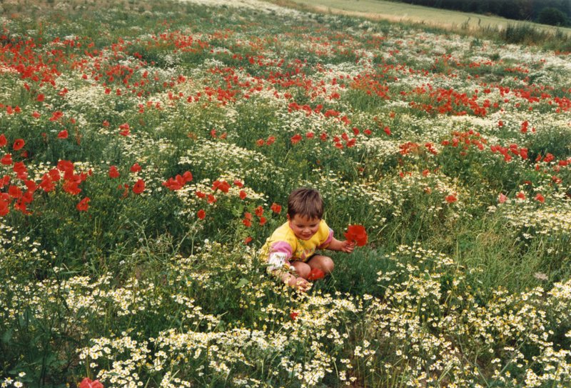 Sébastien Pins Marchin Film Champ et Fleurs